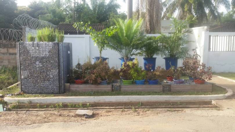 treated domestic water